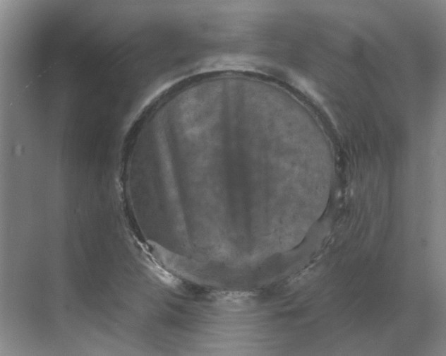 X0000068741312200605121533