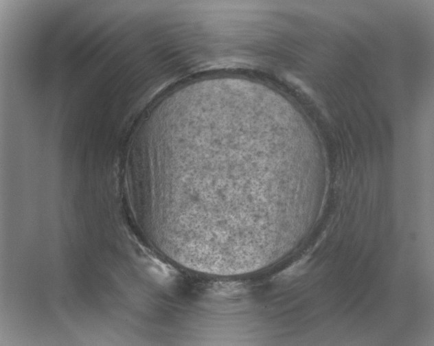 X0000068741313200605121533