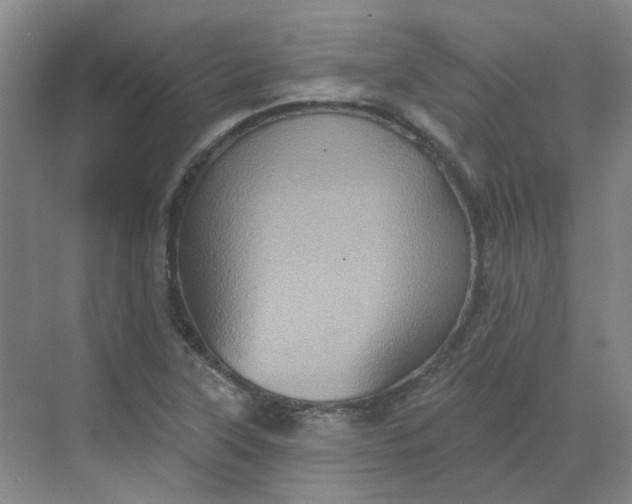 X0000068741315200605121534