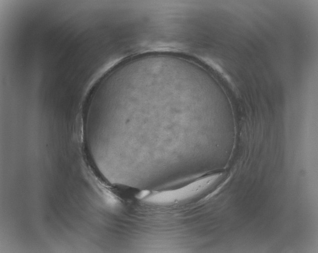 X0000068741317200605121534