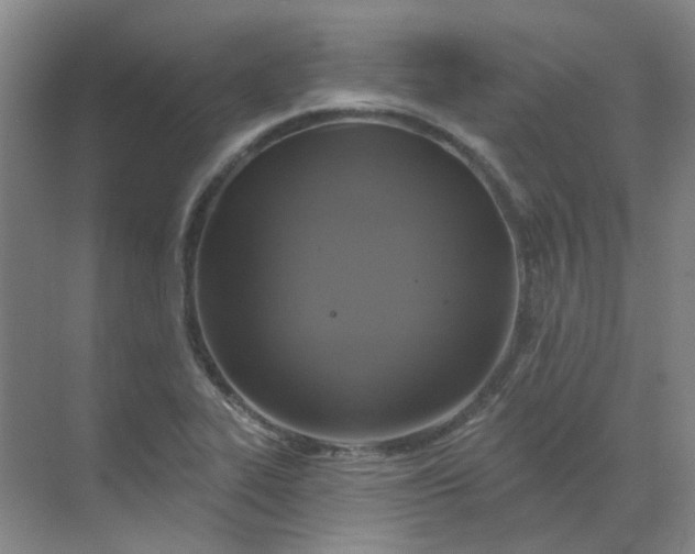 X0000068741319200605121534