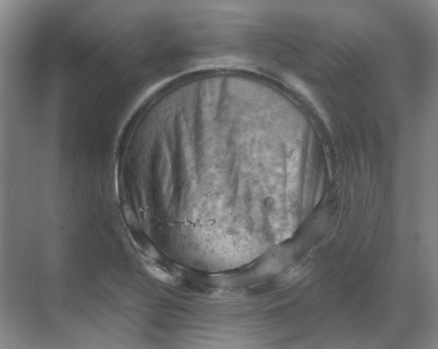 X0000068741320200605121534