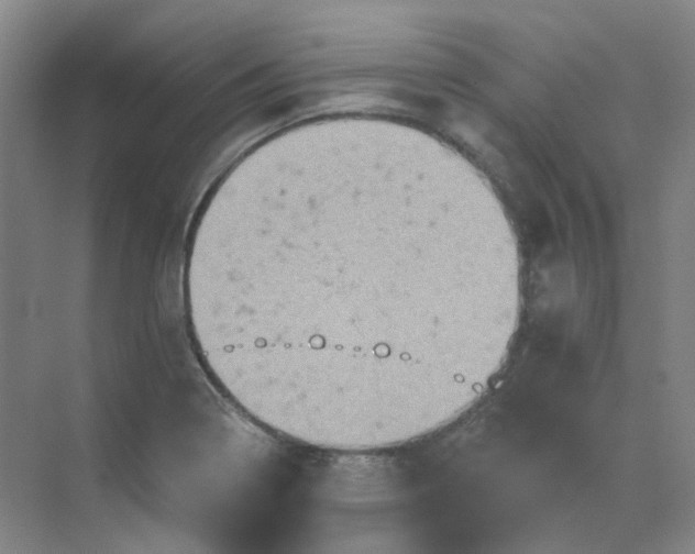 X0000068741322200605121534