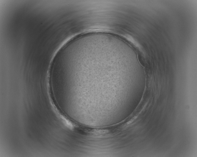 X0000068741325200605121534