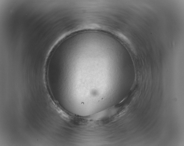 X0000068741326200605121534