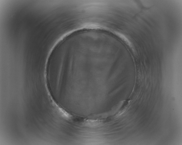 X0000068741327200605121534