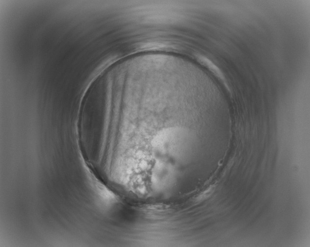 X0000068741330200605121534