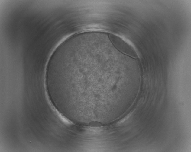 X0000068741333200605121534