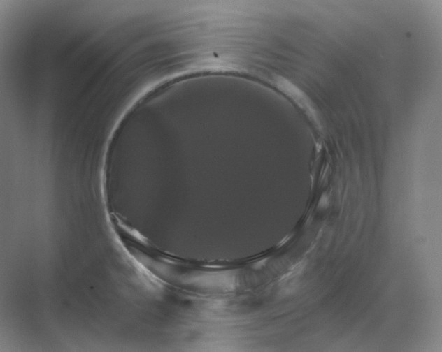 X0000068741334200605121534