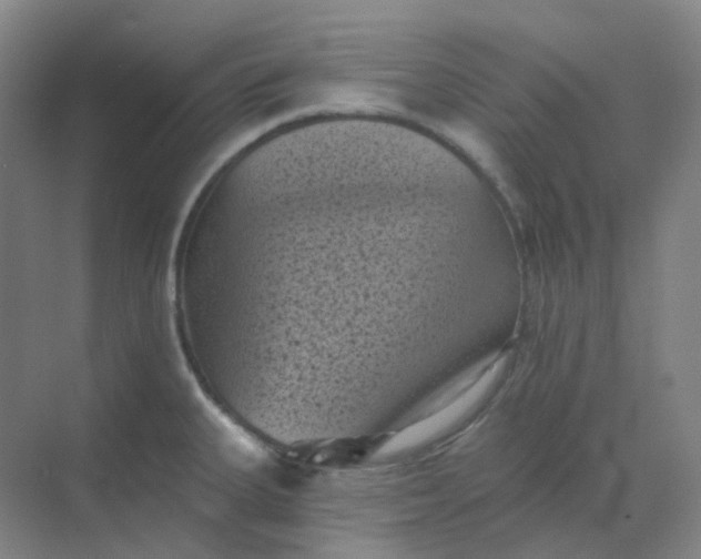 X0000068741335200605121534