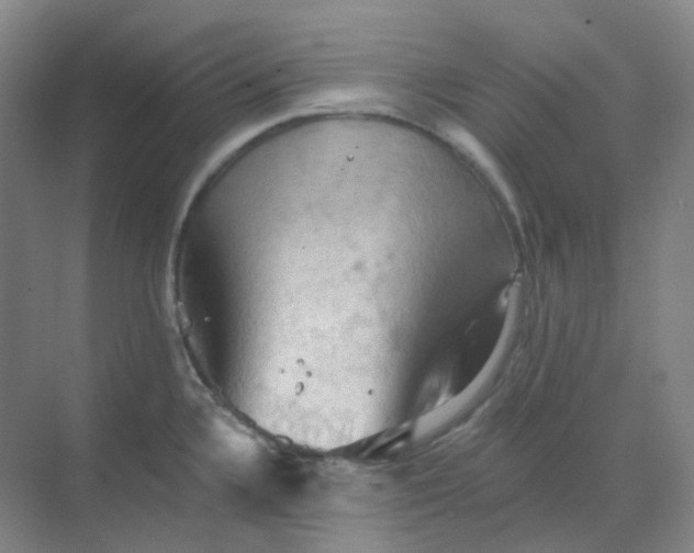 X0000068741336200605121534