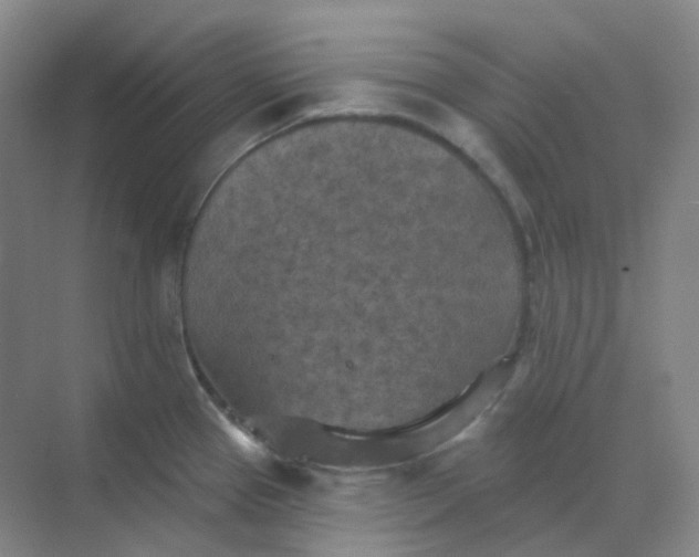 X0000068741337200605121534