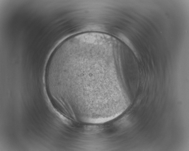 X0000068741339200605121534