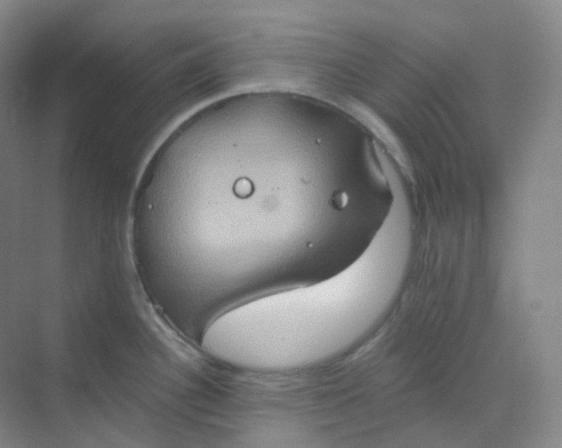 X0000068741340200605121534