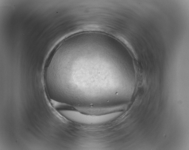 X0000068741342200605121534