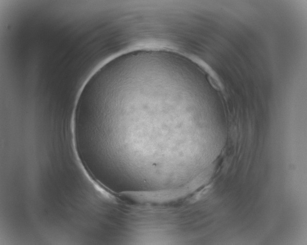 X0000068741343200605121534