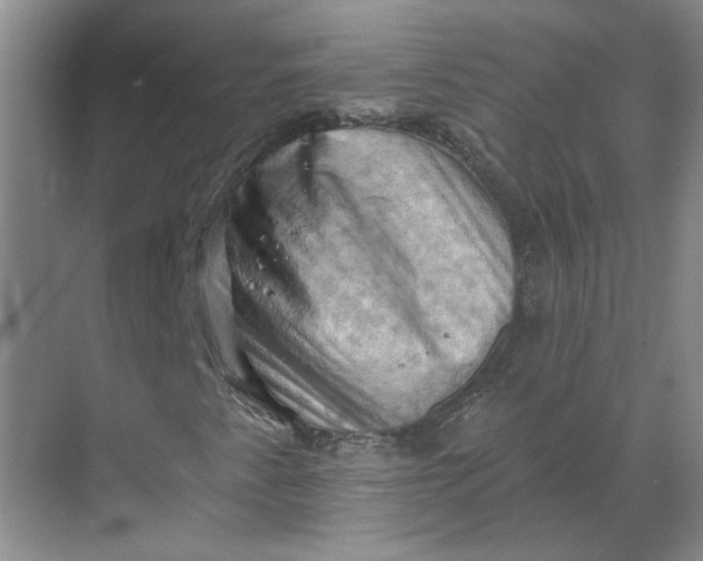 X0000068741345200605121533