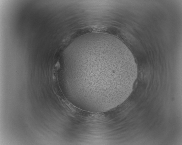 X0000068741346200605121533