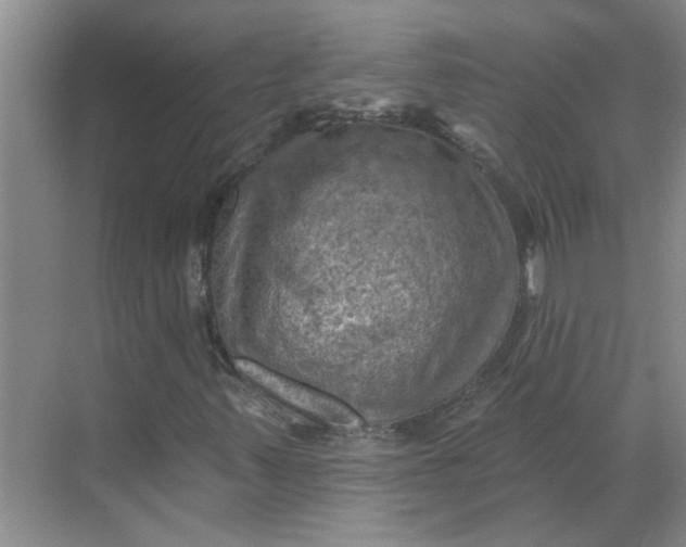 X0000068741347200605121533