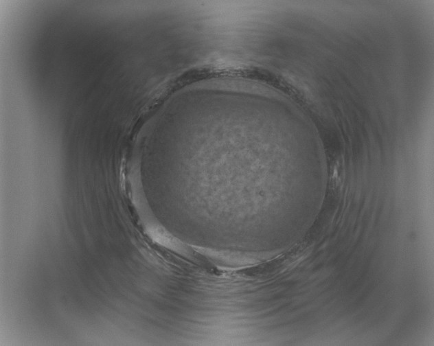 X0000068741348200605121533