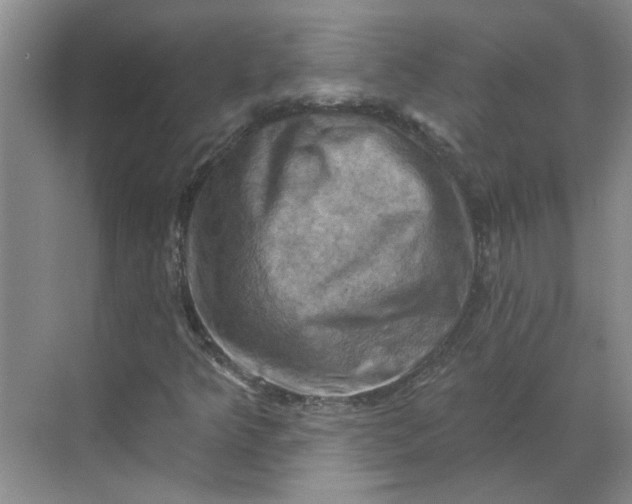 X0000068741349200605121533