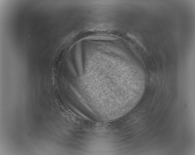 X0000068741350200605121533