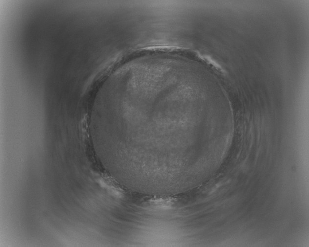 X0000068741351200605121533