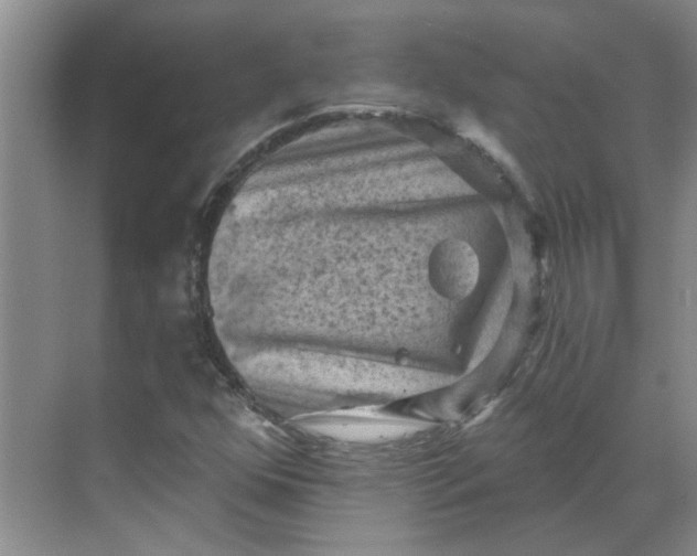 X0000068741352200605121533