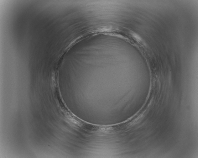 X0000068741353200605121533