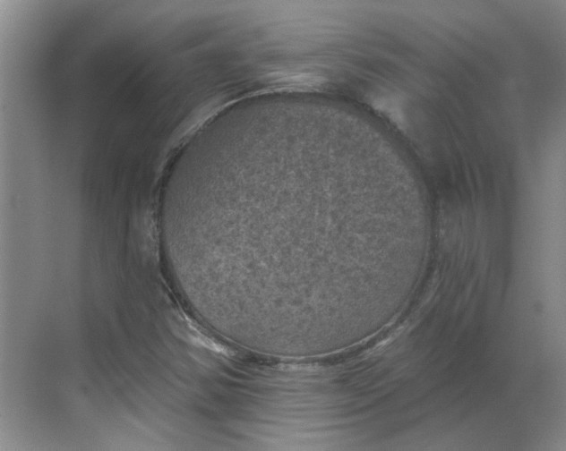 X0000068741354200605121533