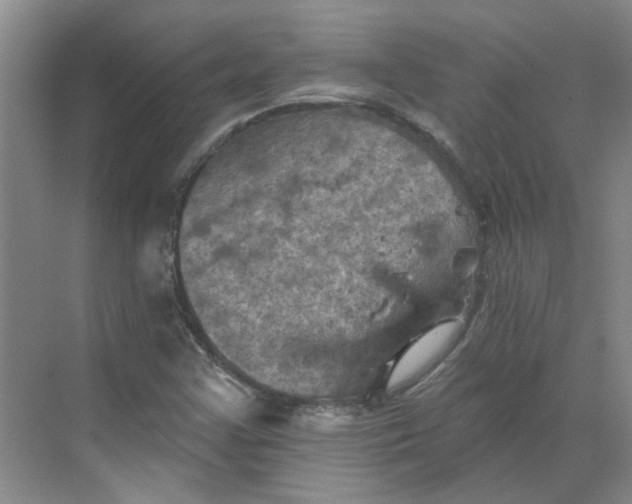 X0000068741355200605121533