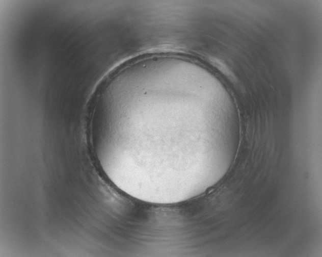 X0000068741356200605121533