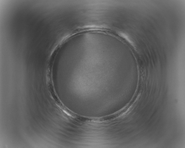 X0000068741357200605121533