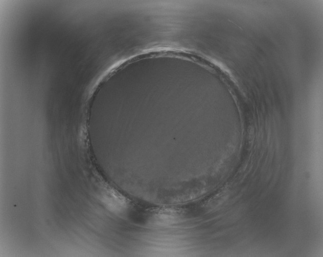 X0000068741359200605121533