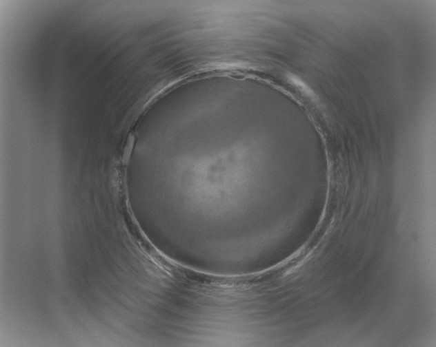 X0000068741361200605121533