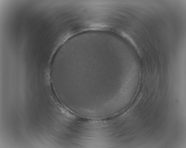 X0000068741362200605121533