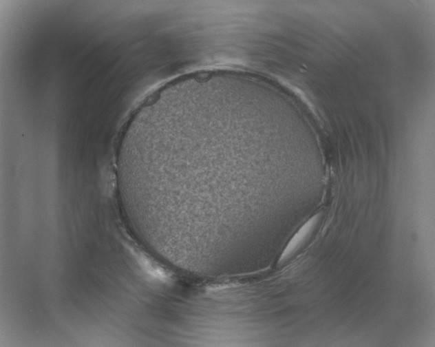 X0000068741363200605121533