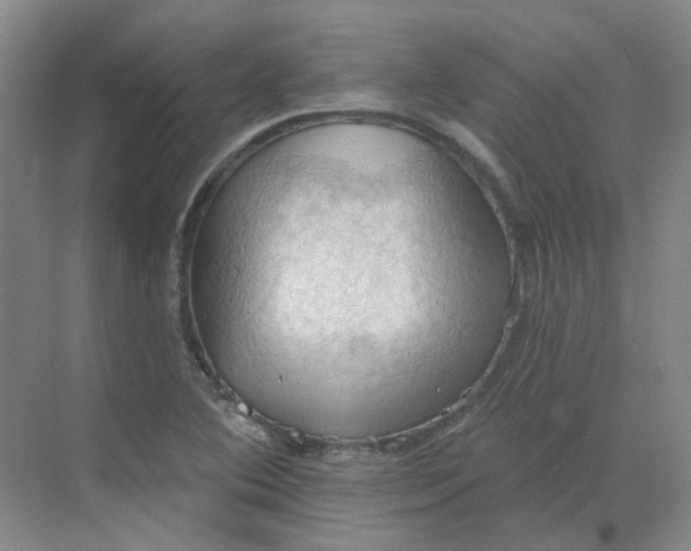 X0000068741364200605121533