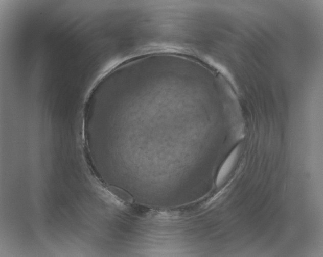 X0000068741365200605121533