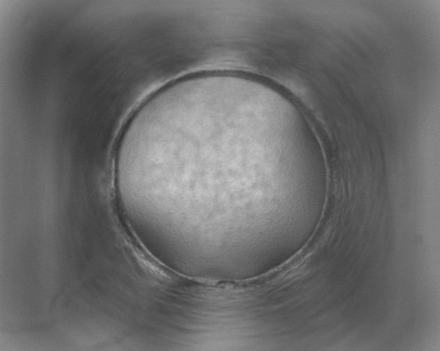 X0000068741366200605121533