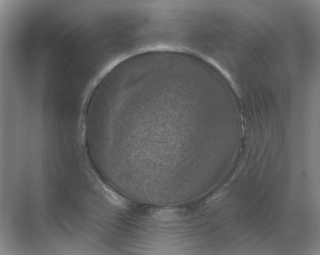 X0000068741367200605121533