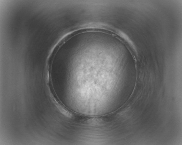 X0000068741368200605121533