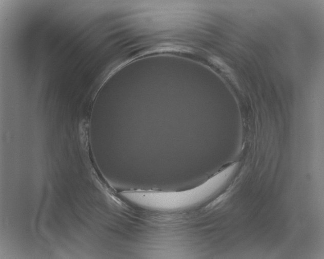 X0000068741369200605121533