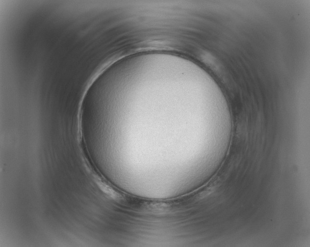 X0000068741370200605121533