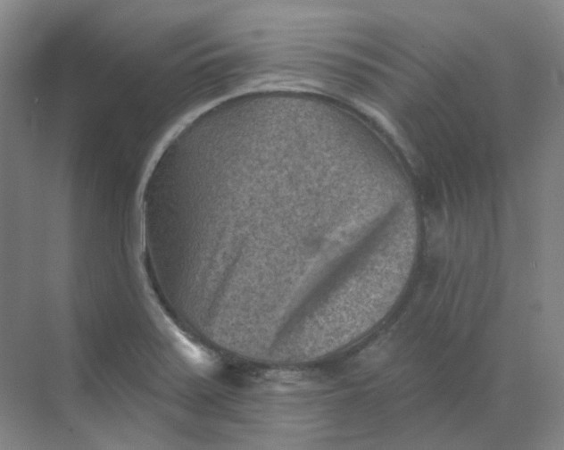 X0000068741371200605121533