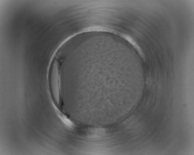 X0000068741372200605121533