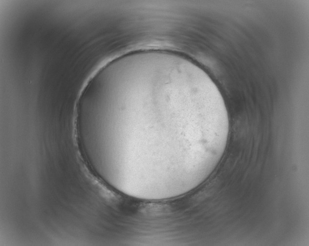 X0000068741374200605121533