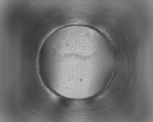 X0000068741375200605121533