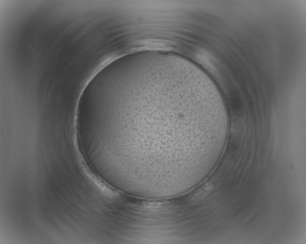 X0000068741378200605121533