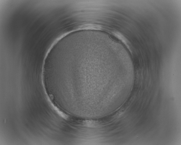 X0000068741379200605121533